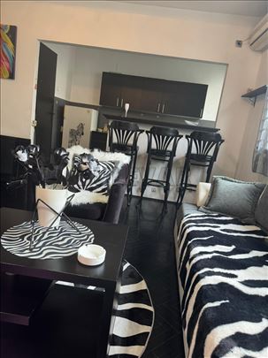 Izdaje se dvosoban stan u centru grada