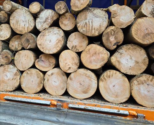 Metarska drva hrast, bukva