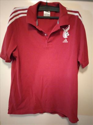 Muska majica Adidas vel.L,broj oko 52, pamuk,polov