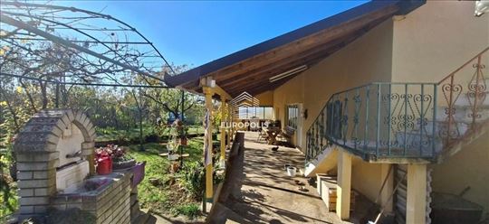 Panića put, Grabovac, Obrenovac ID#8633