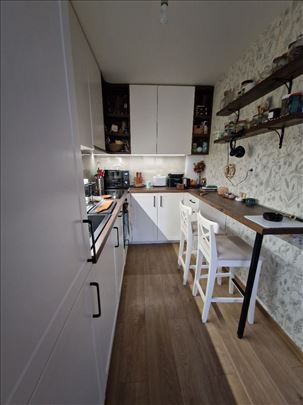 Tesla 3.0 namešten, dostupan 1.12