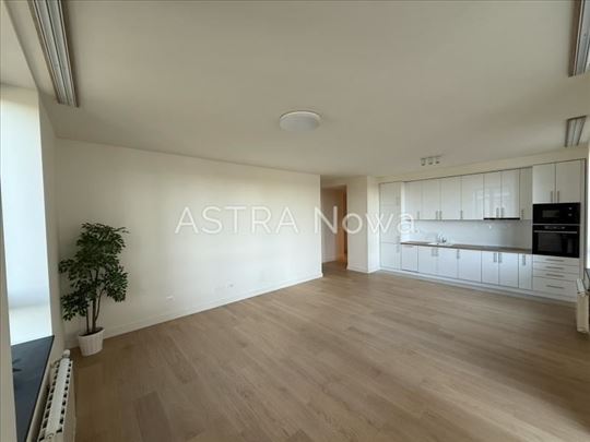 BW ECHO-Nov 3.0 stan-polunamešten