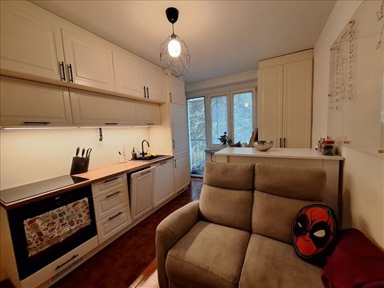 Dedinje 38m2 + terasa