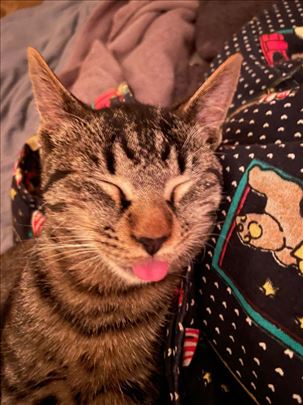 Mali ljubavko traži zauvek dom