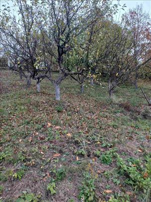 Ripanj plac 9 ari, uknjiženo