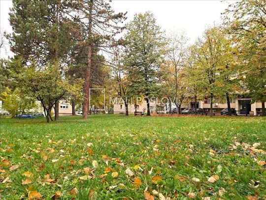 Železnik centar/ u parku/ 52 +16 podrum