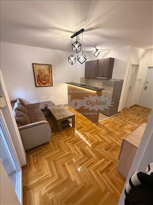 Izdajem skroz NOV, neuseljivan stan,Vojvode Stepe