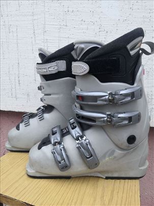 Pancerice SALOMON 24 cm