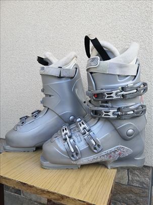 Pancerice Salomon 25 cm