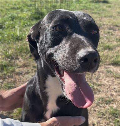 Poklanjamo Megi i Unu