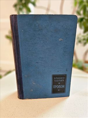 Prolom - Branko Ćopić