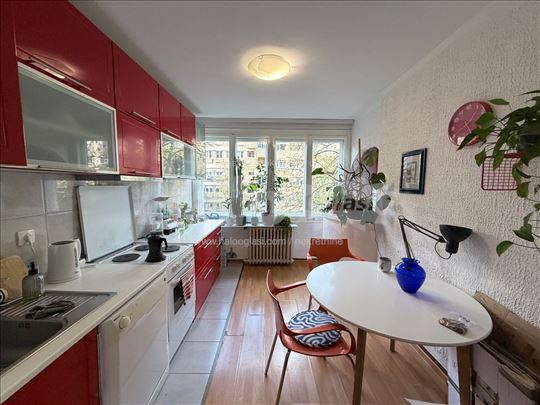 Tasmajdan Sunny Apartment in Park