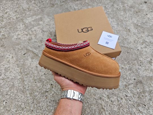 UGG Tazz Slippers, Mustard Seed; Ugg Braon Papuce