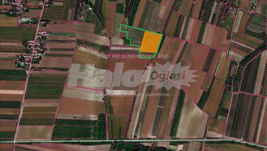 Zemljište - Koševac(Slankamenački Vinogradi) 312ar