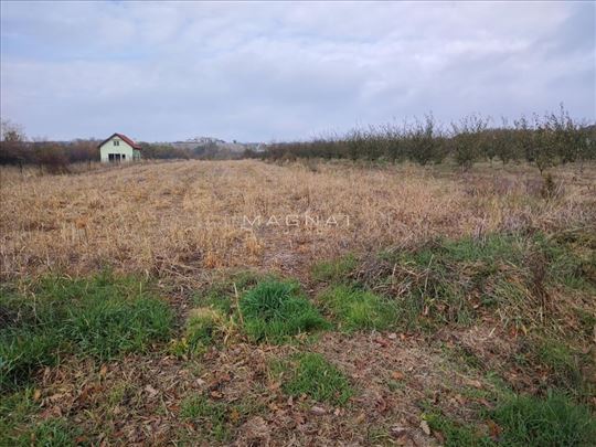 Kosmaj - građevinski plac - Rogača ID#5365