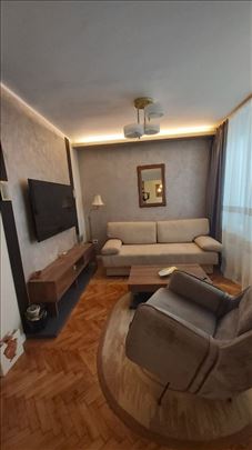 Krunska Vracar sa ljubimcima