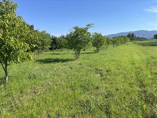 Loznica, Zemljište, 41,00ar