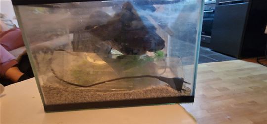 Mali akvarijum za ribice