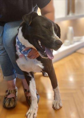 Moma - lep, veseo i sjajnog karaktera