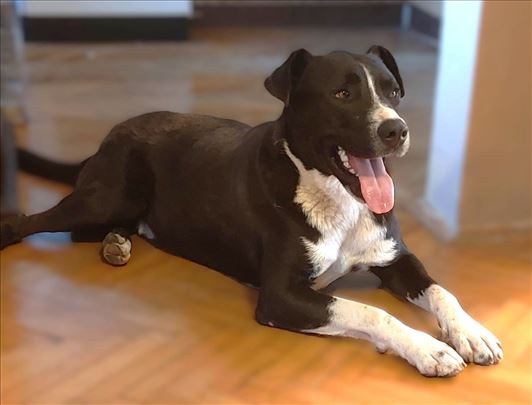 Moma - lep, veseo i sjajnog karaktera