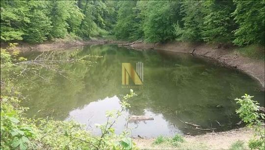 Fruška Gora – plac sa šumom i livadom u blizini Po