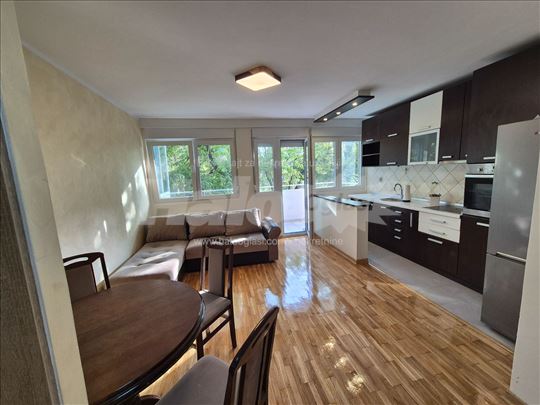 Aleksinačkih rudara, RENOVIRAN, 45m²+ terasa