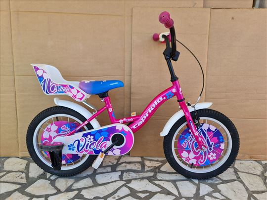 Capriolo Viola 16 ca   