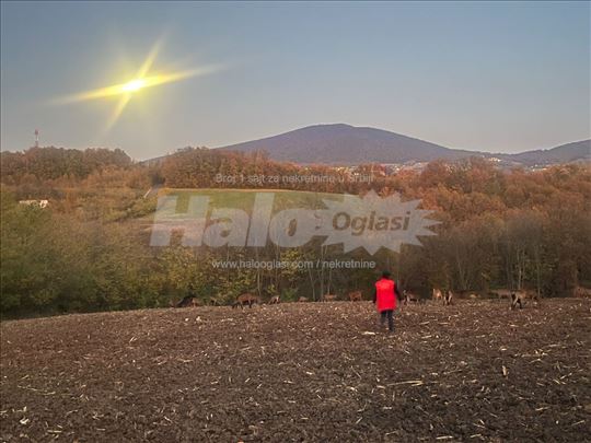 Parče raja od Kosmaja. Pogled,pogled,pogled