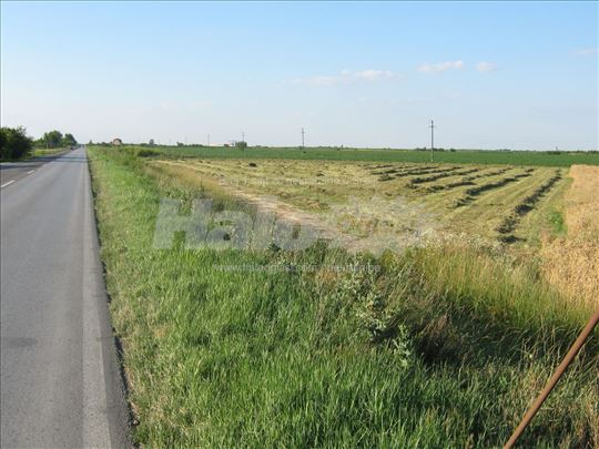 Plac 60 ari - Zrenjanin (Ečka)