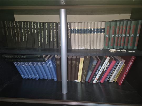 Sabrana dela Zmaja,Andrica,Bore Stankovica idr