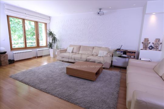 Stan s pogledom na banjičku šumu, jedini na spratu