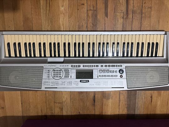 Yamaha Portable Grand DGX-300
