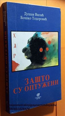 Zašto su optuženi HAG Vilić Todorović 