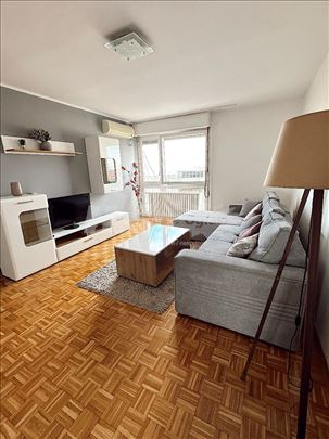 Botanička bašta, dvoiposoban stan 56m2 namešten