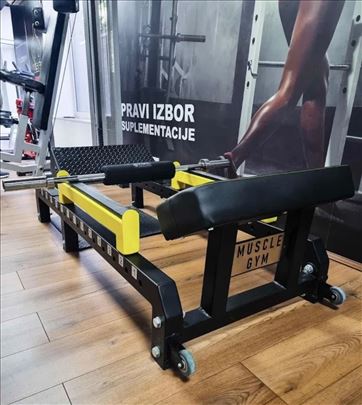 Glute Bridge / Hip Thrust