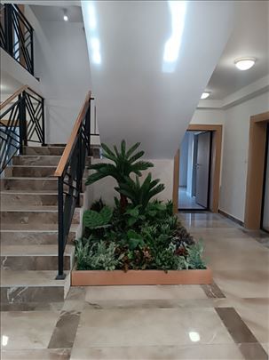 Prelep stan sa  sopstvenim dvorištem