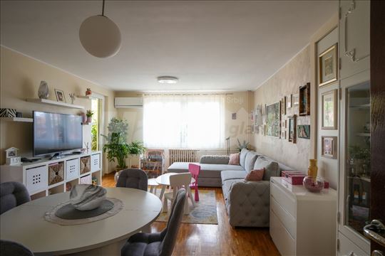 Renoviran i opremljen stan u centru Mladenovca