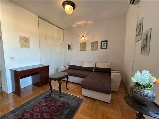 Gornji Dorćol–stan sa pogledom na Dunav-40 m2-550