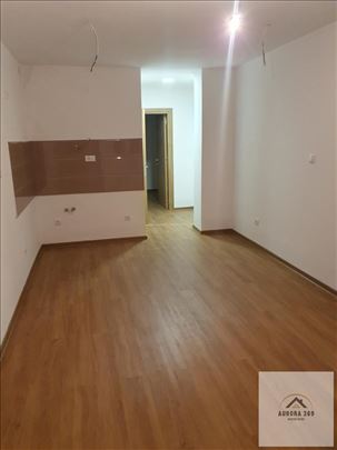 MiŠeluk, Petrovaradin, Novi Sad. Nov, Useljiv, Jed