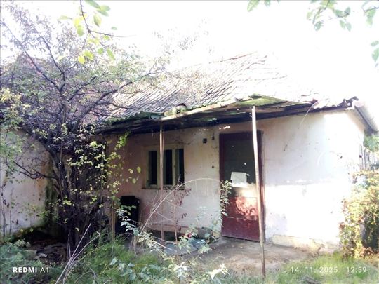 Novi Sad Klisa kuća 85m2+objekat 122m2 HITNO!