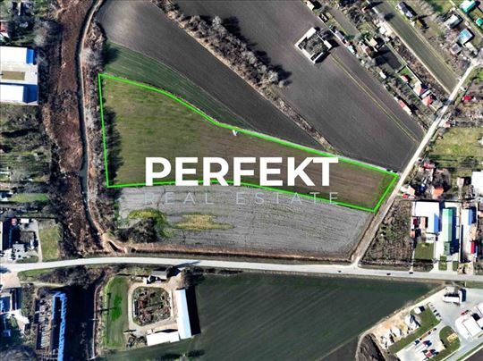 Novoseljanski Put, 365 ari