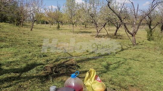 Plac livada/voćnjak u Malom Požarevcu kod autoputa