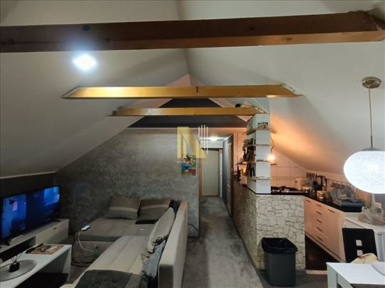 Porodična kuća, Bocke- Sremska Kamenica