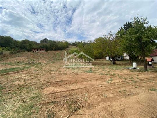 Smederevo - Udovički prokop - 10ari ID#22181