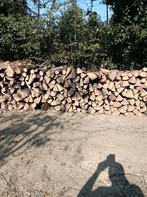 Prodaja ogrvnog drveta.