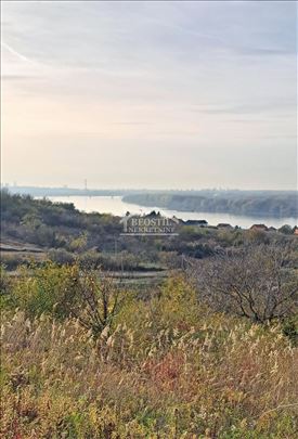 Palilula - Višnjica, Bela zemlja - 30ari ID#24654