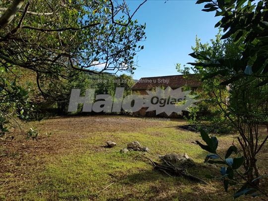 Plac, Herceg Novi, Zelenika- vlasnik