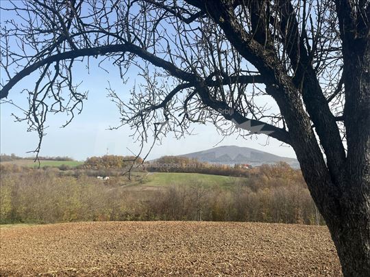 Placevi. Parče RAJA od Kosmaja!