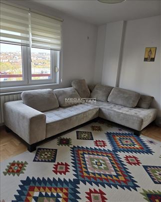 Stepa Stepanović, adaptibilan, bez ulaganja