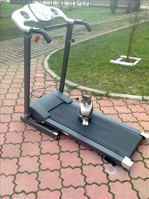 Traka za trčanje, Servisirana